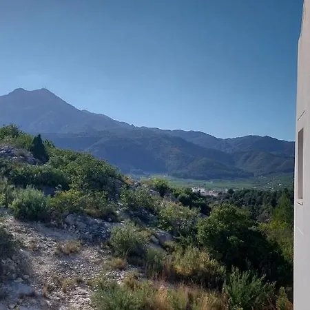 Del Monte Solo Familias Serviplaya